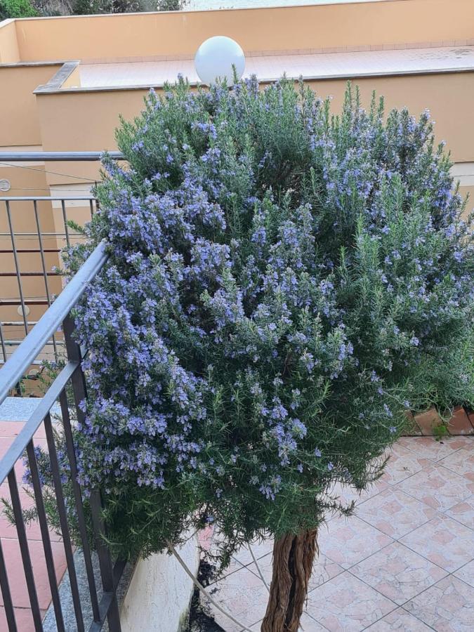 Il Rosmarino Apartment Taormina Eksteriør billede