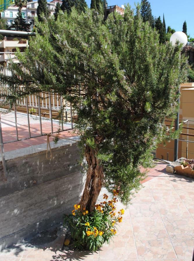 Il Rosmarino Apartment Taormina Eksteriør billede